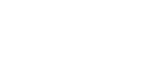 verification